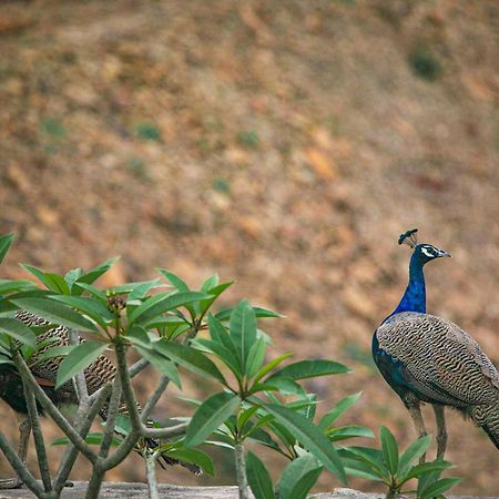 Open House By Stayvista - Nestled In Nature, Featuring A Swimming Pool & Expansive Lawn For A Serene Retreat Shikrapur Bagian luar foto